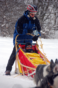 Huskies Erleben